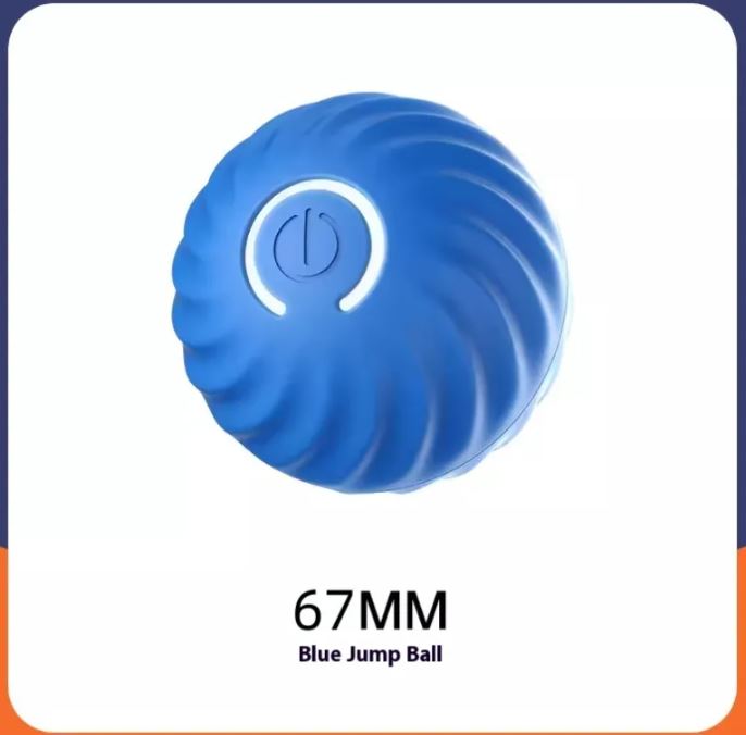 Paws and Play Interactive Ball