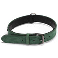 Always Home ID Collar