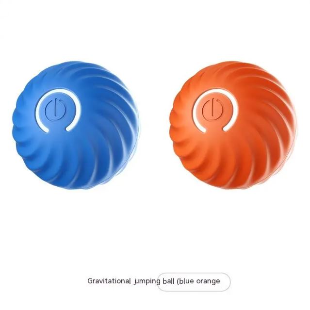 Paws and Play Interactive Ball
