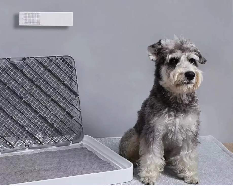 Smart Smell Purifier