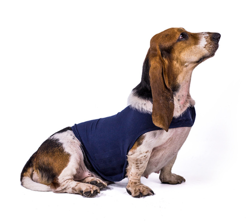 Calm and Comfort Pet Jacket