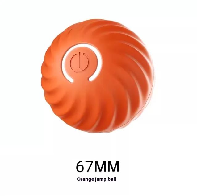Paws and Play Interactive Ball