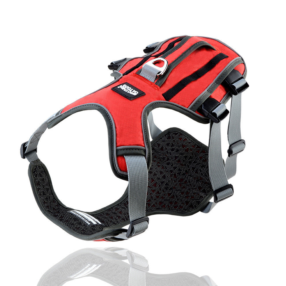 VividPaws Safety Harness