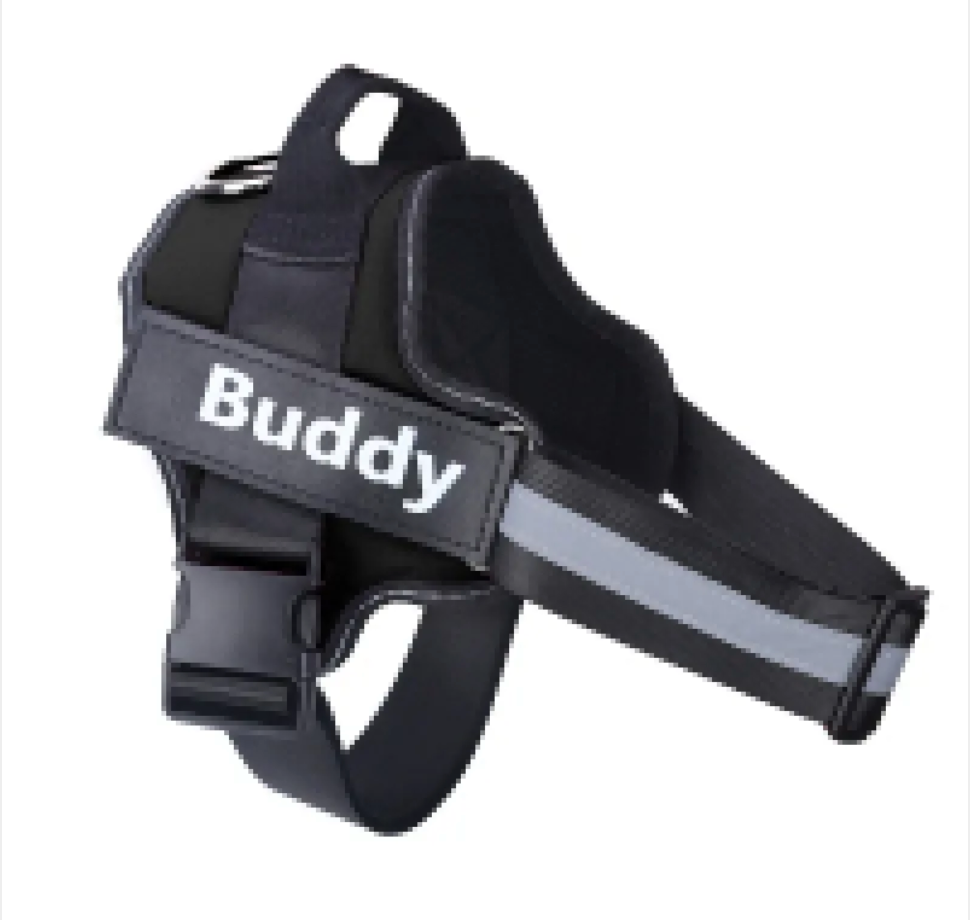 NightBright Pet Vest