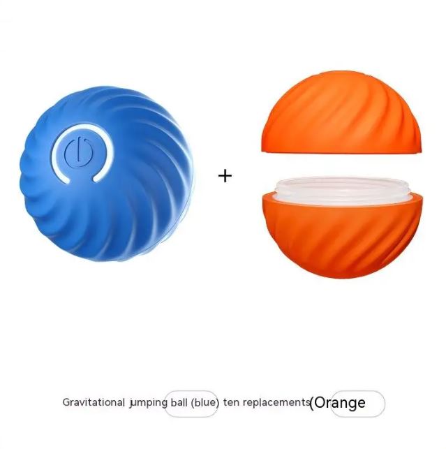 Paws and Play Interactive Ball