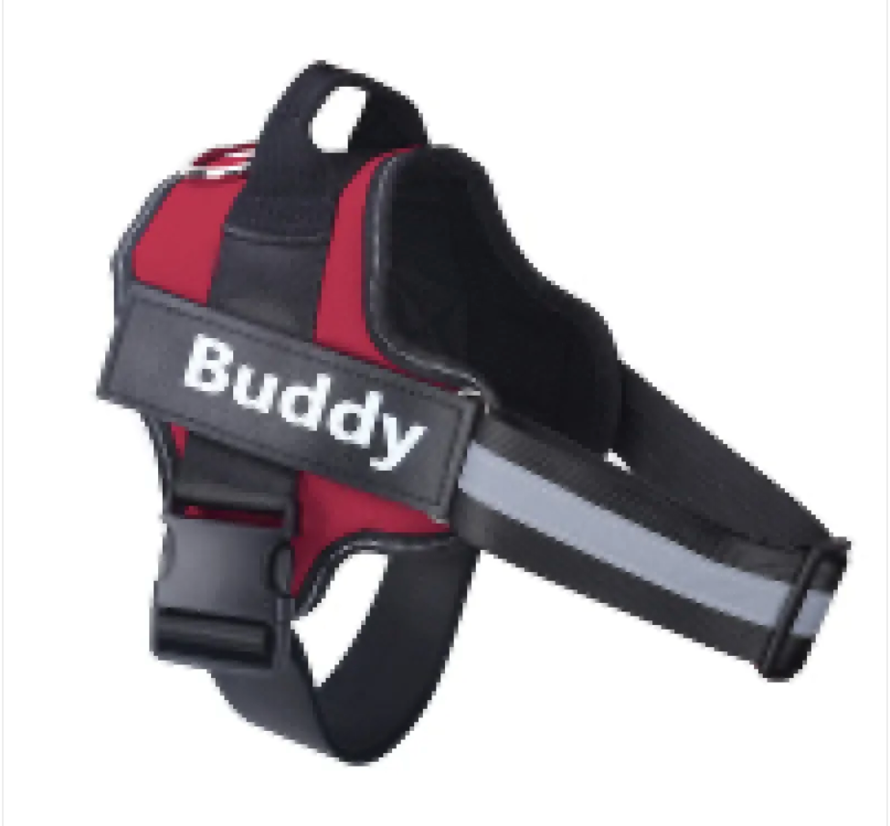 NightBright Pet Vest