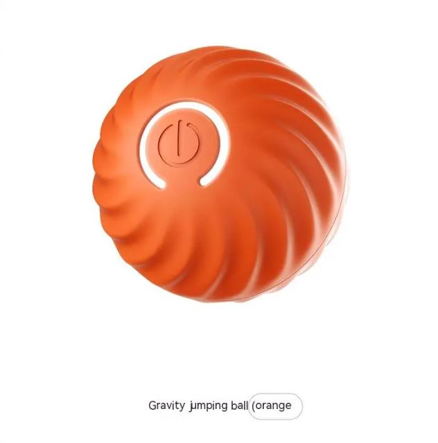 Paws and Play Interactive Ball