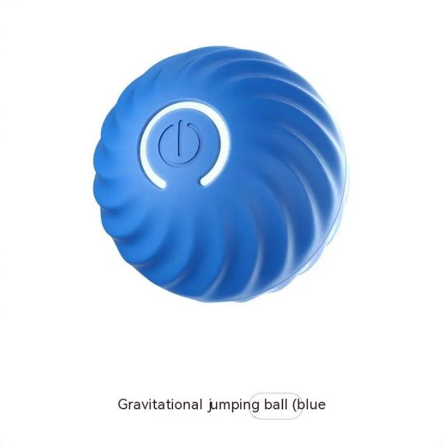 Paws and Play Interactive Ball