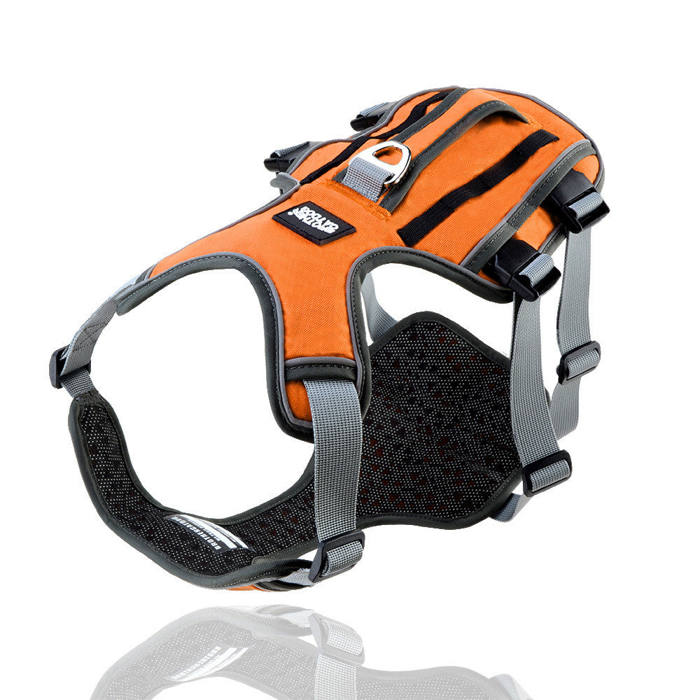 VividPaws Safety Harness