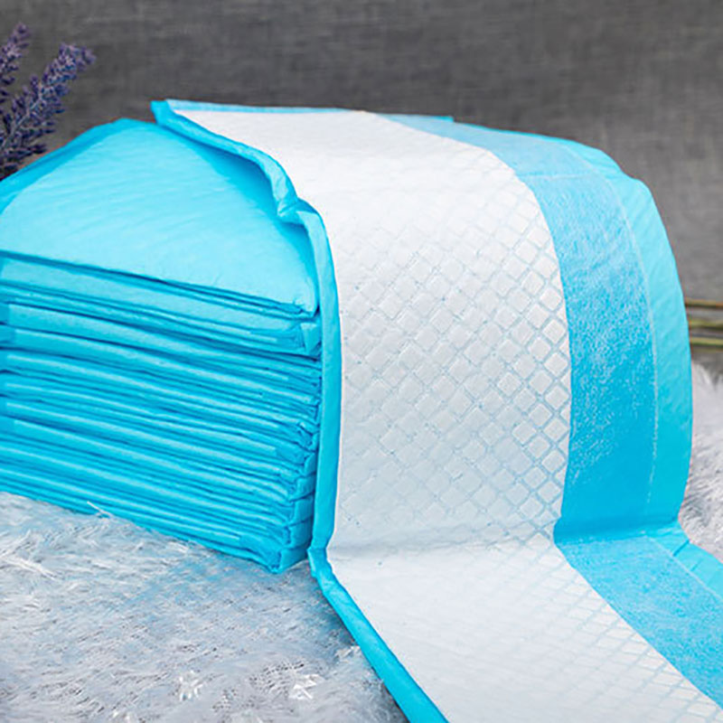 CleanPaws Pet Pads