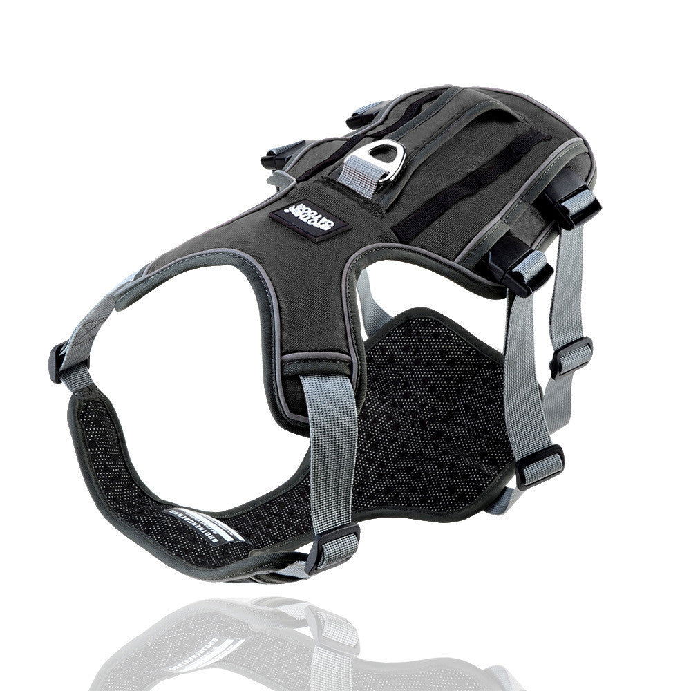 VividPaws Safety Harness