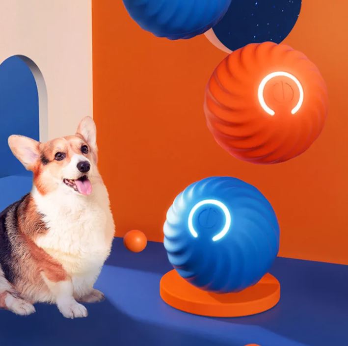 Paws and Play Interactive Ball