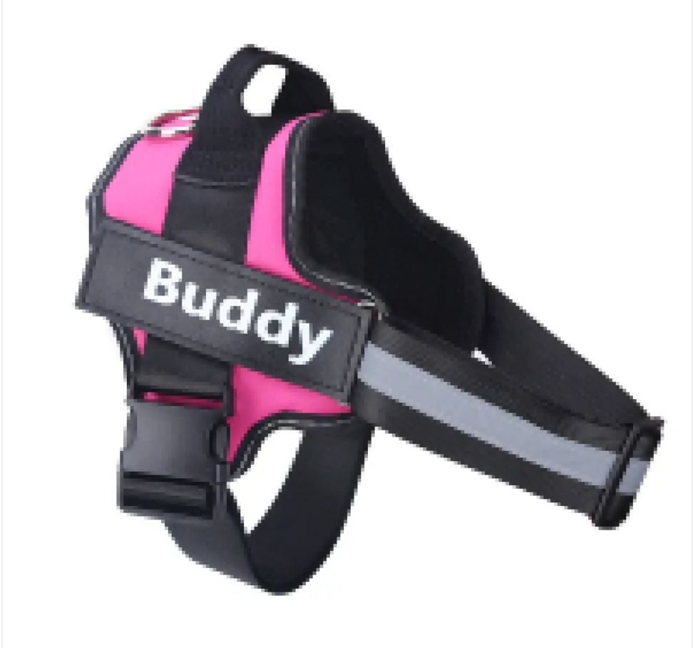 NightBright Pet Vest
