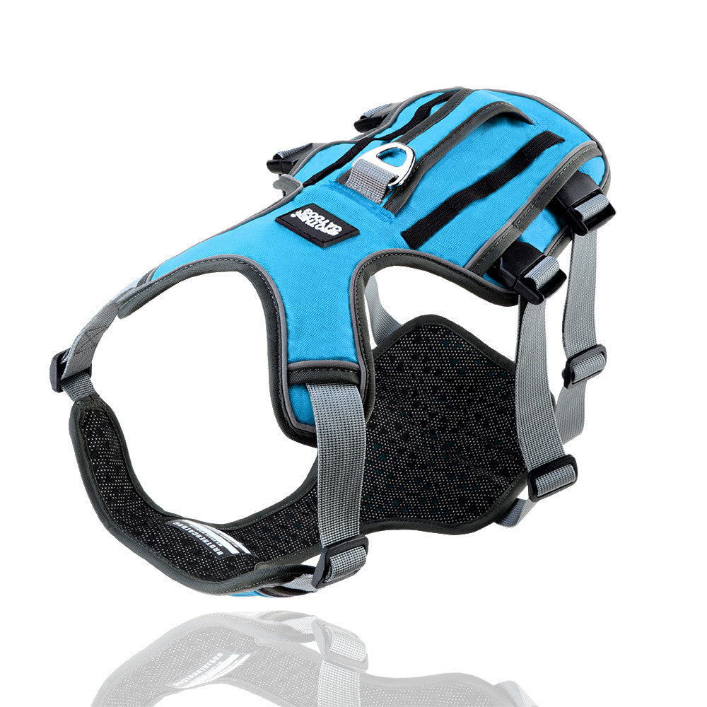 VividPaws Safety Harness