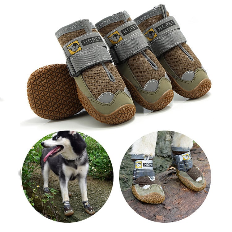 Run & Fun Pet Sneakers