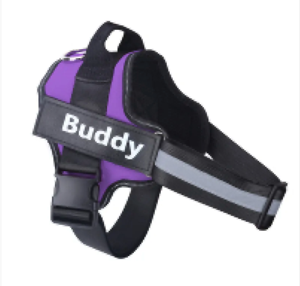 NightBright Pet Vest