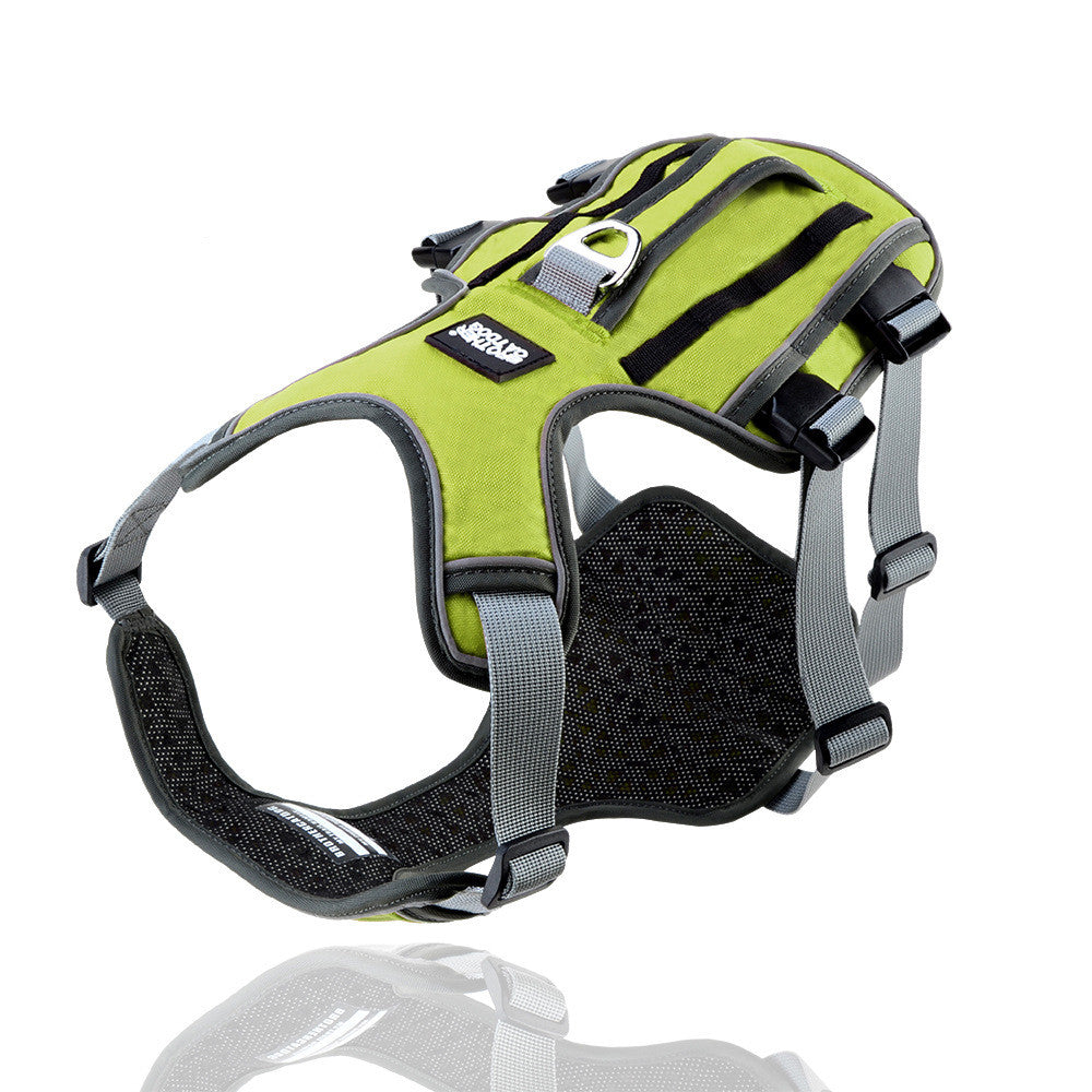 VividPaws Safety Harness