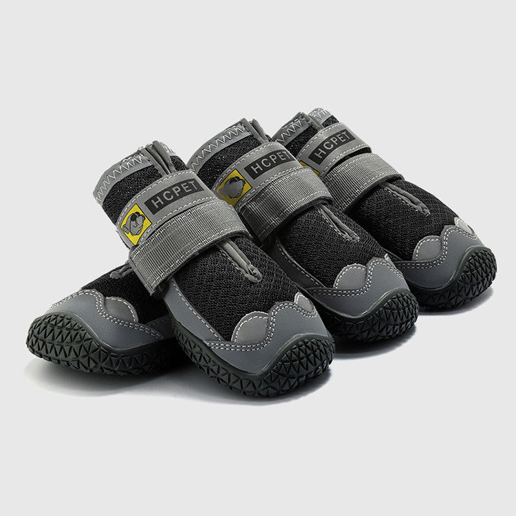 Run & Fun Pet Sneakers