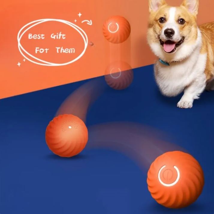 Paws and Play Interactive Ball